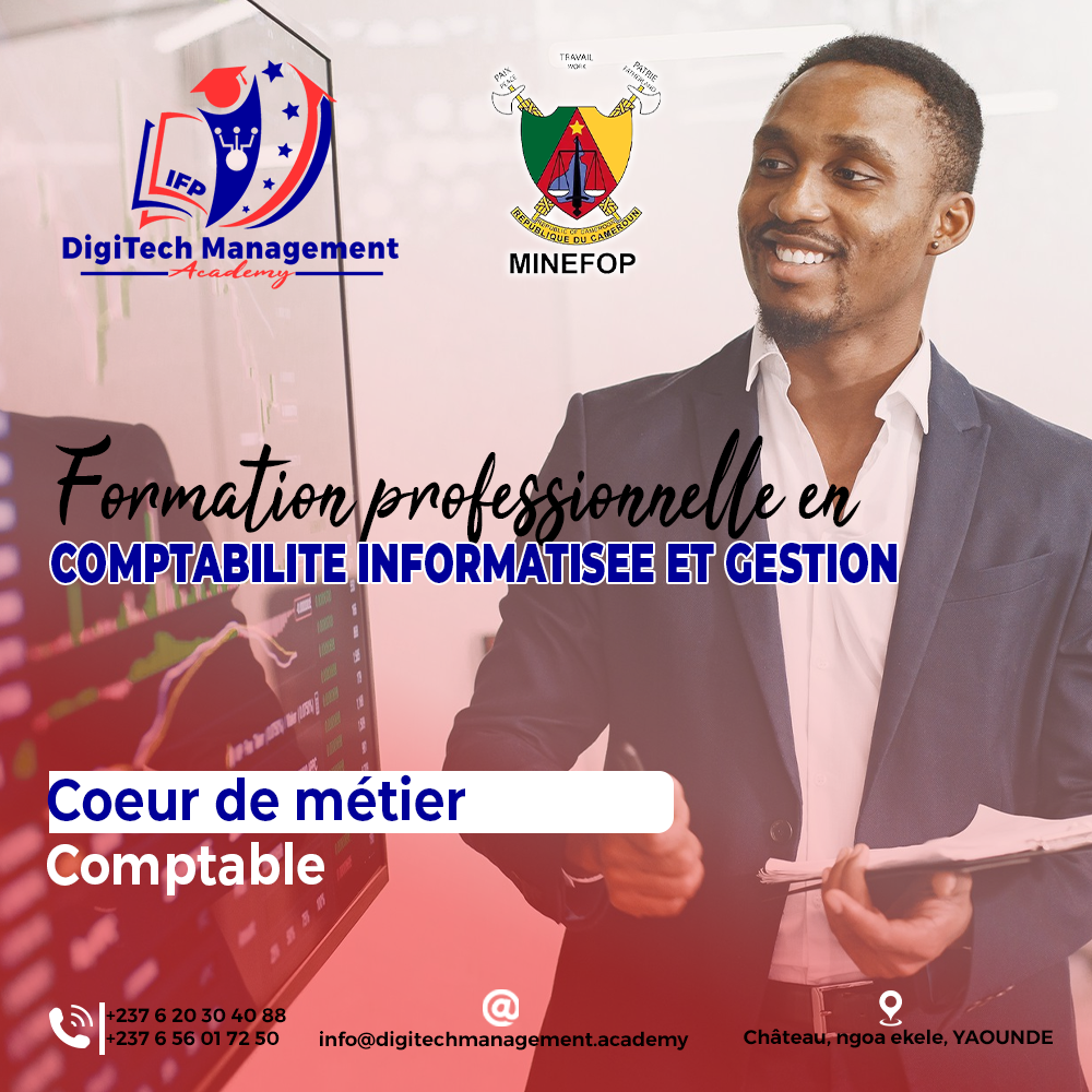 formation professionnelle en comptabilté informatisée et gestion au Cameroun