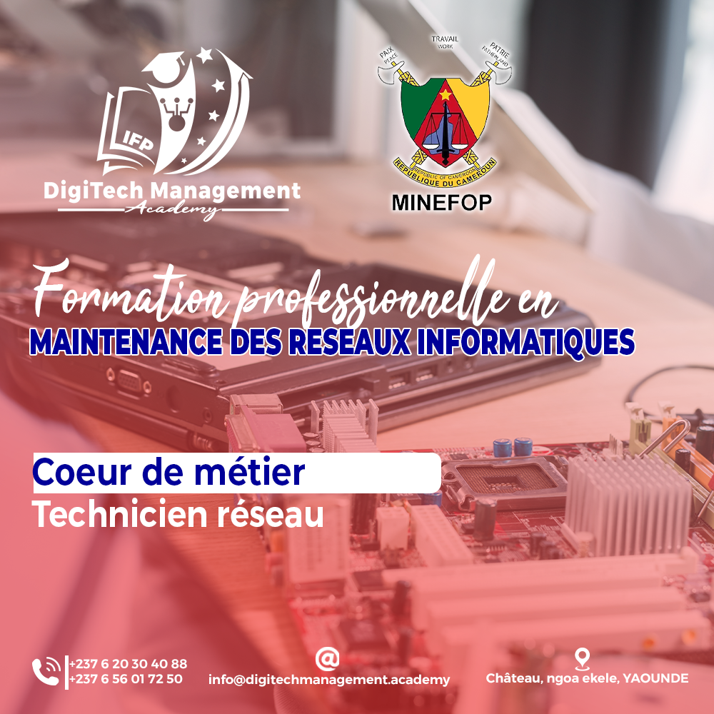 formation professionnelle en maintenance des réseaux informatiques au Cameroun
